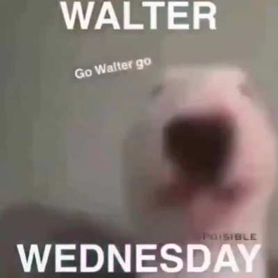 Gys i'ts wendisday 😎😎😎😎😎