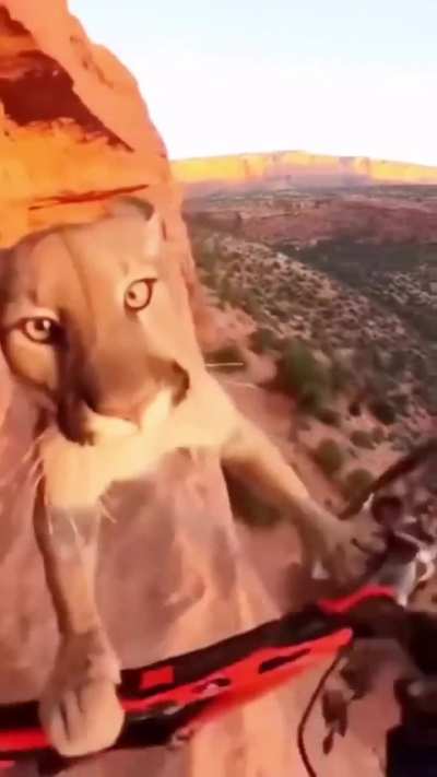 My friend sent this to me to share how terrified he was, is this ai? The sky looks odd