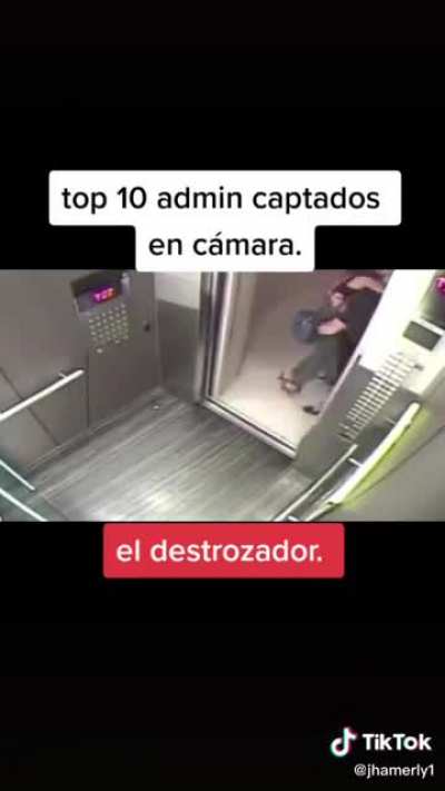 El Dylan 😎