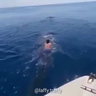 T&iacute;tulo foi montar num animal