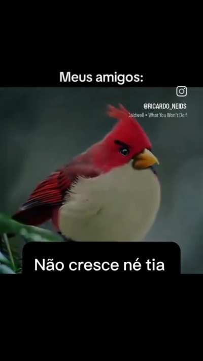 E t&aacute; errado?