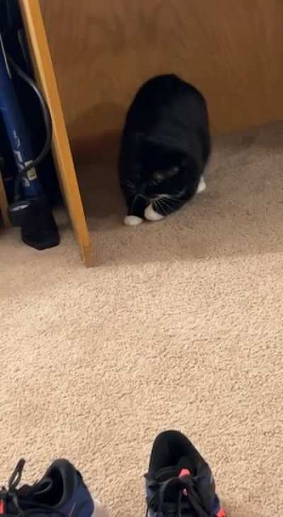 Attack the uh&hellip; floor?