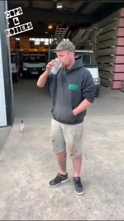 This guy