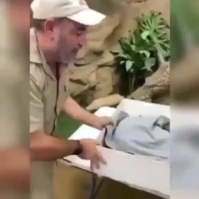 Don’t worry it’s just a baby