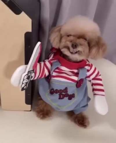 Scary costume