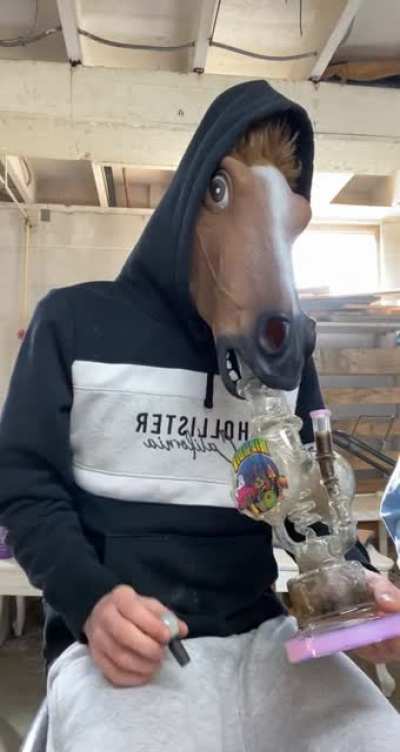 Horse Rips 🐴
