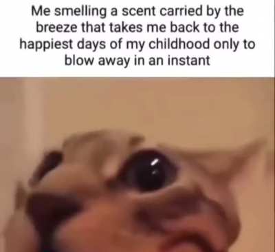 How time has fallen from us