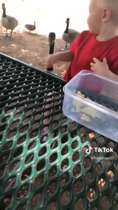 Bruh