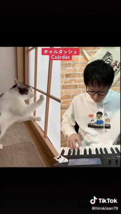 In the hall of the Cat-king
