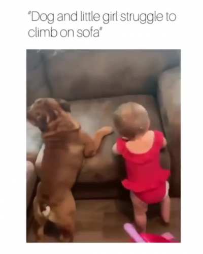 Why?