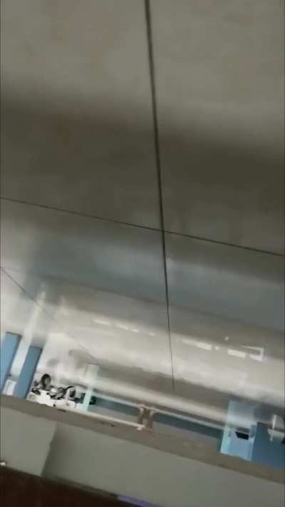 REAL OR FAKE