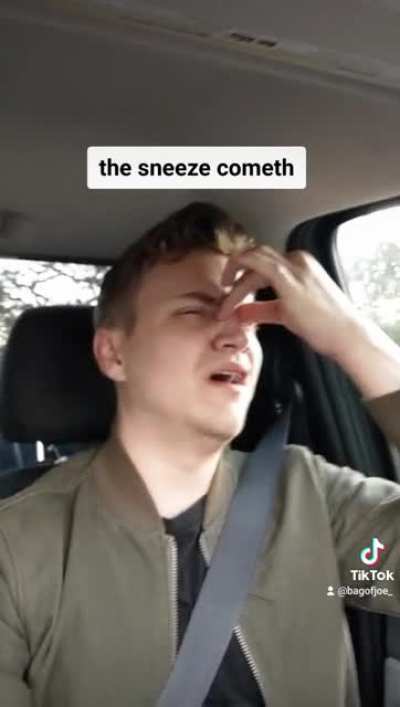 The dud sneeze will be how I die