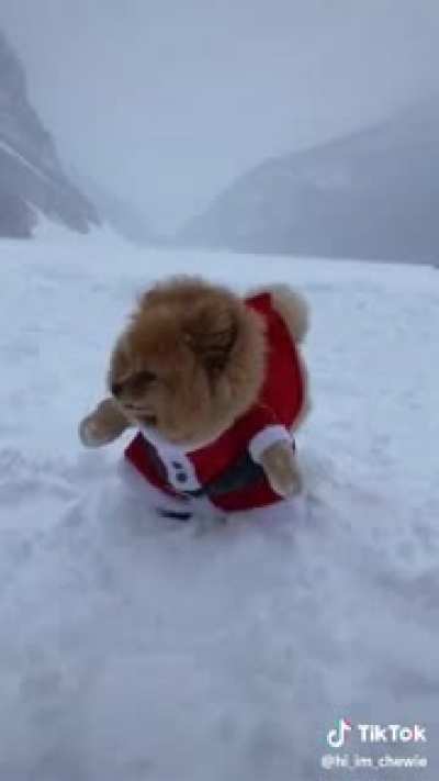 Santa&rsquo;s Little Helper
