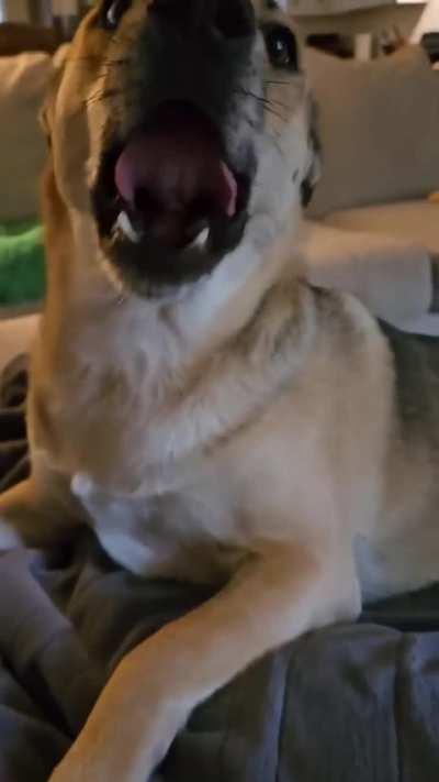 how she did it