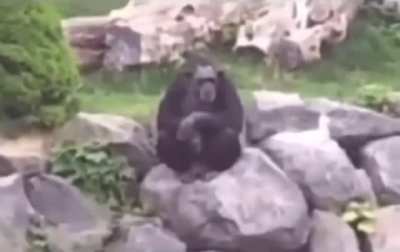 Maybe we should return to monke?