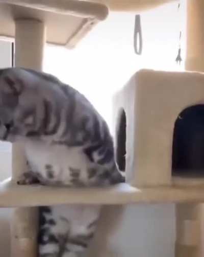 Too fat for the opening
