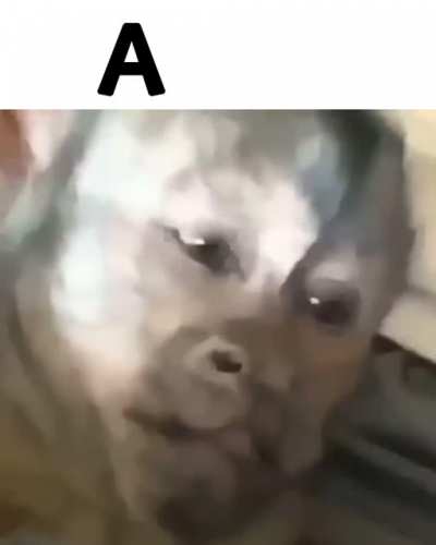 Esta va pal do&ntilde;as