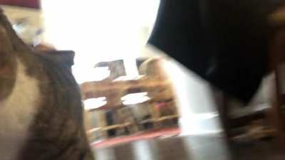 POV: you&rsquo;re a leg walking through my apartment