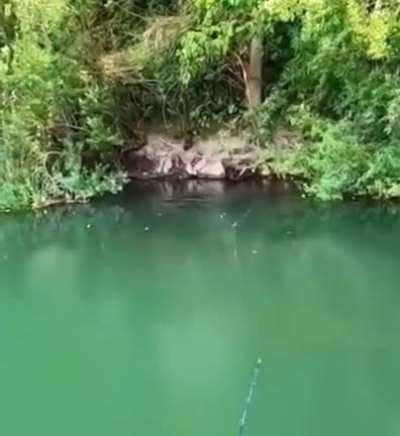 Relaxful day fishing