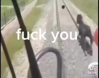 Fuck you