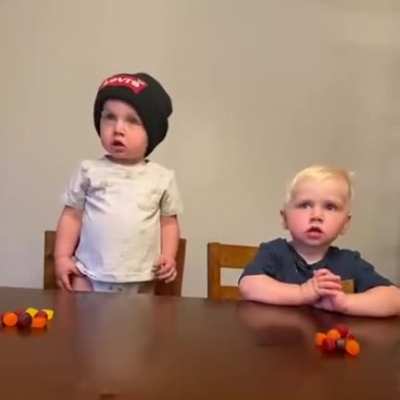 Не ешьте, пока мы не вернёмся