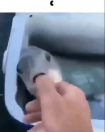 rule