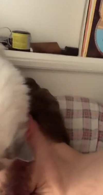 Every freaking day at 6 AM there&rsquo;s no snooze on this alarm clock!