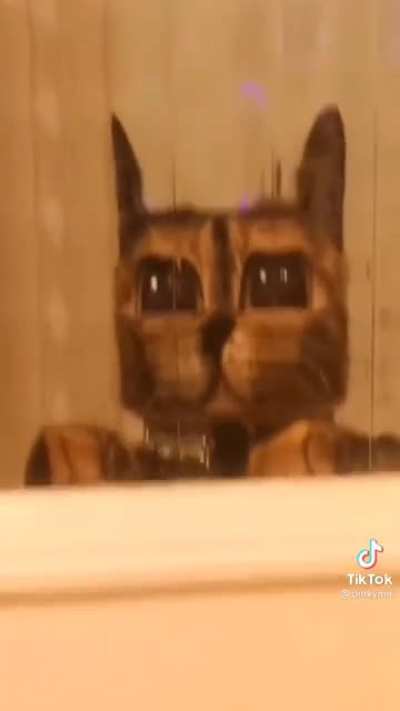 MINECRAFT CAT MINECRACT CAT