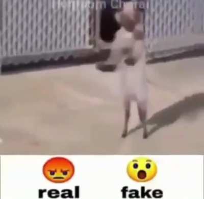 😡 rule