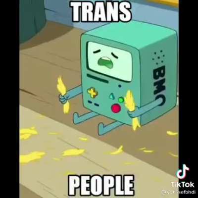 Si