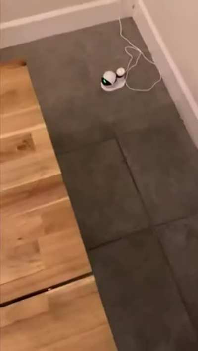 Dream Fuck