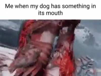 Bad dog!