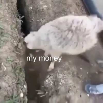 Story of my life