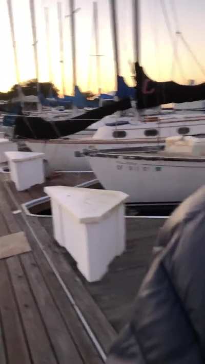 Highest expression of a Karen. Alameda Fortman Marina