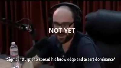 Super Ultra Giga Chad Grindset