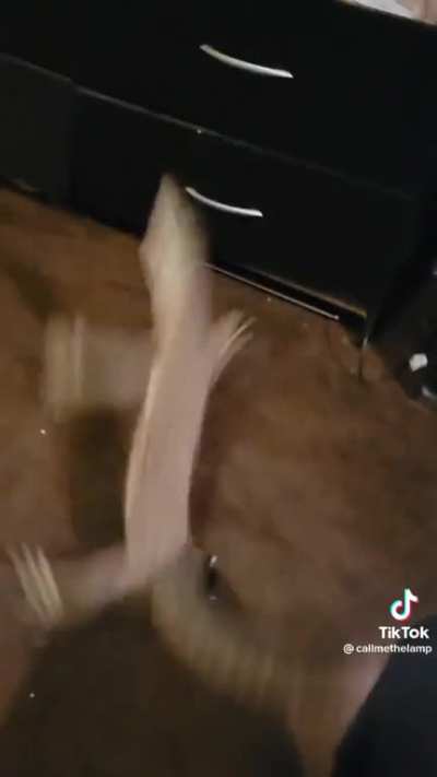 that is totally a cat