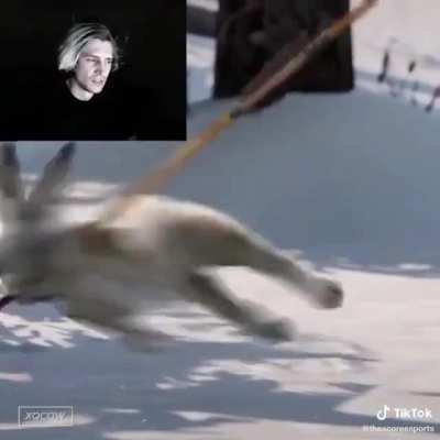 Cellbit &eacute; a prova disso xet