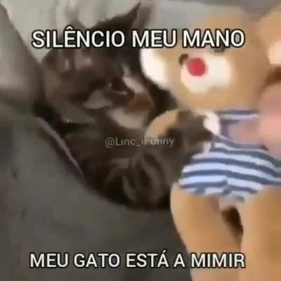 no publiquen, mi gato quiere mimir