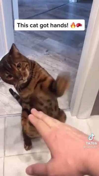 Slap king