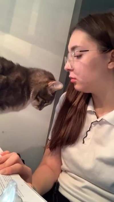 kat