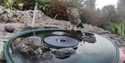 Everyone deserves fresh drinking water