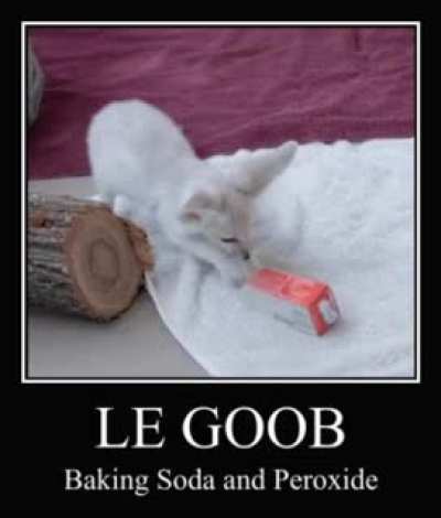 What&rsquo;s your game Le Goob?