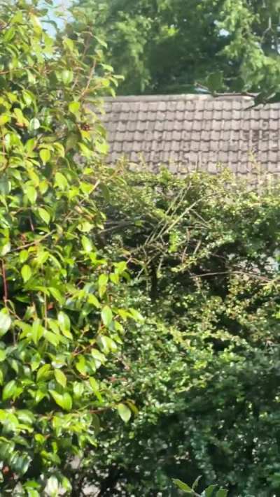 iPhone 14 Pro 3x Telephoto Zoom Blur &amp;amp; Camera Flickering