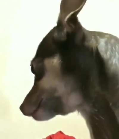 👉👈