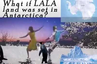 FINALLY ANTARCTICA REPRESENTATION