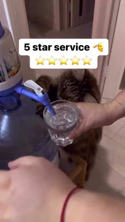 Dispenser homie