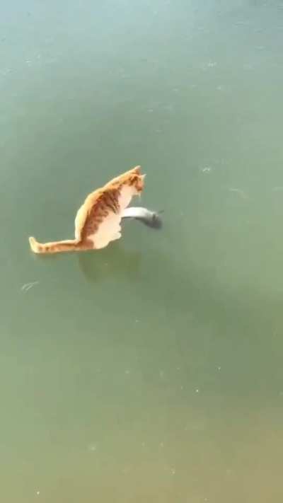 🔥 come here sweet fish