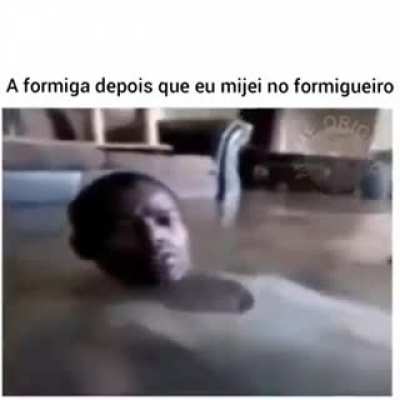 Será que é assim mesmo que elas ficam ?