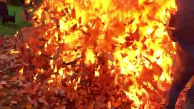 Burning leaves with gasoline WCGW?