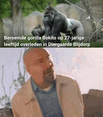 ik😭ihe